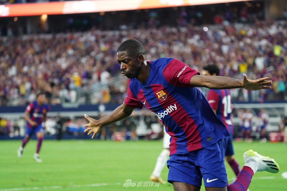 项团队运动 项团队运动